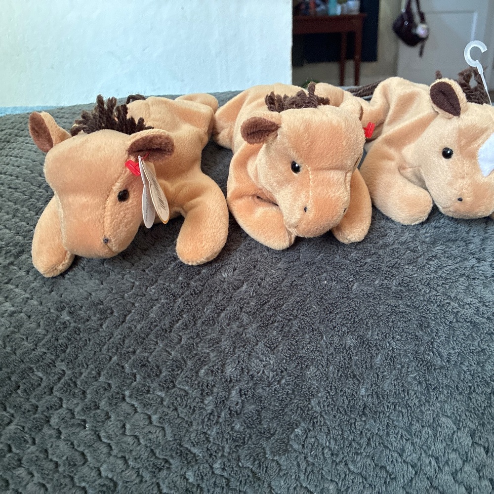 Derby beanie babies